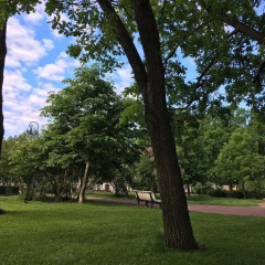 Гостиница Sokos Olympia Garden