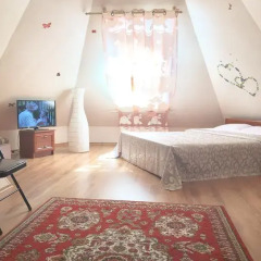 Гостевой дом Вилари 3* Студия с разными типами кроватей фото 7