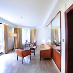 Rembrandt Hotel Suites and Towers 4* Люкс с одной спальней с разными типами кроватей фото 3