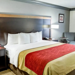 Отель Comfort Inn And Suites Near Universal Studios 2* Стандартный номер