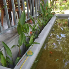 Отель Rasa Sayang Resort Ланта фото 6