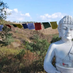 Отель Buddha Peaceful Oasis Алкасер-ду-Сал фото 6