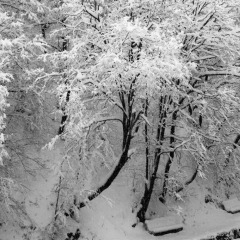 Отель Цахкаовит фото 6