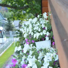 Отель Maryna House - Apartament Tradycyjny Закопане