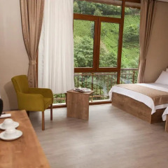 Hanedan Suit Hotel Полулюкс с различными типами кроватей фото 3