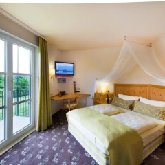 Отель Akzent Waldhotel Rheingau 4* Номер Делюкс с различными типами кроватей фото 4