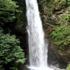 Ayder Cise Dag Evleri Шале с различными типами кроватей фото 50