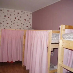 Flower Yard Hostel детские мероприятия
