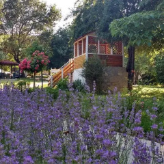 Отель Zora Camping - Bungalows Болгария, Аврен - отзывы, цены и фото номеров - забронировать отель Zora Camping - Bungalows онлайн фото 6