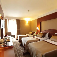 Vicenza 4* Стандартный номер с различными типами кроватей фото 5