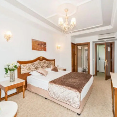 Antis Hotel - Special Class комната для гостей фото 5