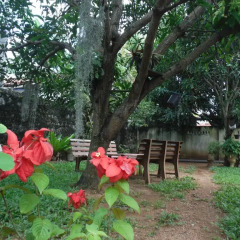 New negombo beach hostel фото 12