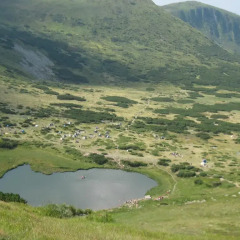 Отель Krutogora Буковель приотельная территория