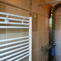 Отель Green Apartment Чехия, Франтишкови-Лазне - отзывы, цены и фото номеров - забронировать отель Green Apartment онлайн ванная