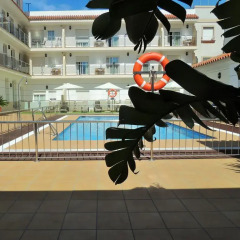 Hotel Apartamentos Loto Conil бассейн фото 3