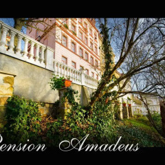 Отель Pension Amadeus фото 6