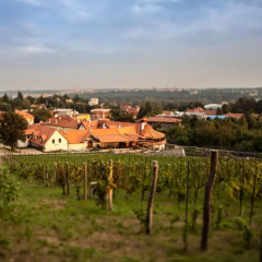 Отель ApartmÁny Vinice Salabka Прага фото 3