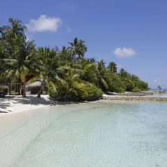 Отель Nika Island Resort & Spa 5* Стандартный номер с различными типами кроватей фото 5