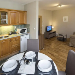 Hotel Apartments Wenceslas Square 3* Апартаменты с различными типами кроватей фото 24