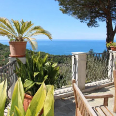 Отель Villa Orchidea Италия, Камогли - отзывы, цены и фото номеров - забронировать отель Villa Orchidea онлайн фото 13