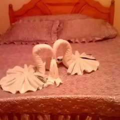 Well Hotel 3* Полулюкс с различными типами кроватей фото 11