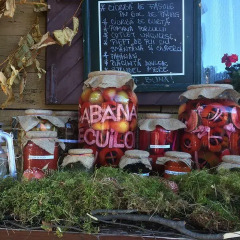 Отель Cabana Poiana Secuilor Румыния, Предял - отзывы, цены и фото номеров - забронировать отель Cabana Poiana Secuilor онлайн фото 4