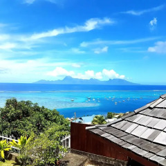 Отель Te Tavake by Tahiti Homes Французская Полинезия, Пунаауиа - отзывы, цены и фото номеров - забронировать отель Te Tavake by Tahiti Homes онлайн пляж фото 2