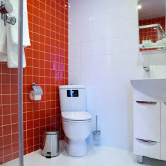 Гостиница Кауфман 3* Улучшенный номер с разными типами кроватей фото 15