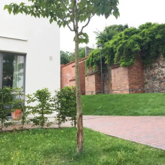 Отель Ferienwohnung an der historischen Stadtmauer Германия, Росток - отзывы, цены и фото номеров - забронировать отель Ferienwohnung an der historischen Stadtmauer онлайн с домашними животными