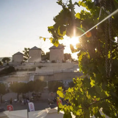 Alacati Sardunya Hotel Чешме