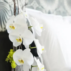 The Mayfair Hotel Los Angeles 3* Улучшенный номер с различными типами кроватей фото 4