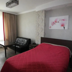 Отель Delphin Guest House Кыргызстан, Бишкек - отзывы, цены и фото номеров - забронировать отель Delphin Guest House онлайн комната для гостей фото 4