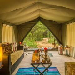 Отель Mahoora Tented Safari Camp All-Inclusive - Yala Другое фото 3