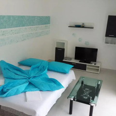 Отель Apartmani Sekulic Апартаменты с различными типами кроватей фото 19