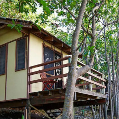 Отель Mantaray Island Resort 3* Коттедж с различными типами кроватей