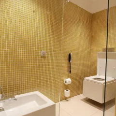 Достык Отель 5* Номер Делюкс с различными типами кроватей фото 6