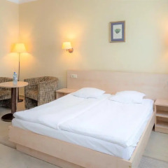 Отель Rija Domus 3* Стандартный номер