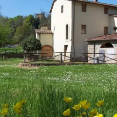 Отель Agriturismo Montassi E Bruscolaio Монтеварчи фото 2