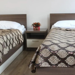 Отель Gino Paradise Spa & Resort 2* Стандартный номер с 2 отдельными кроватями (общая ванная комната) фото 4