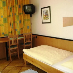 Hotel - Restaurant Matauschek Kommanditgesellschaft 2* Стандартный номер фото 2