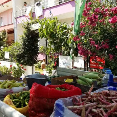 Отель Kumbag Green Garden Pansiyon питание