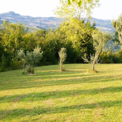 Отель Agriturismo Villa Ti AMo Сан-Джинезио фото 7