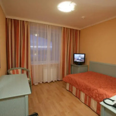 Park-Hotel Pushkin 3* Стандартный номер с различными типами кроватей