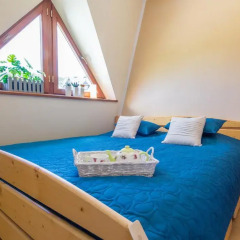 Отель Apartament Red Zakopane Косцелиско спа
