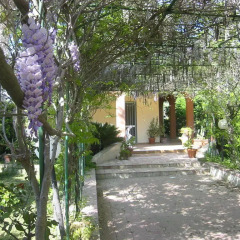 Отель La Via Del Mare Италия, Аренелла - отзывы, цены и фото номеров - забронировать отель La Via Del Mare онлайн фото 4