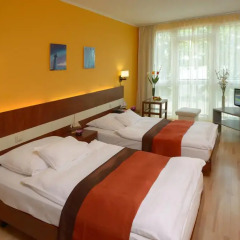 Holiday Beach Budapest Wellness & Conference Hotel 4* Стандартный номер с различными типами кроватей фото 4