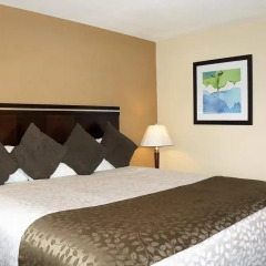 Executive Inn Hotel 2* Стандартный номер с различными типами кроватей