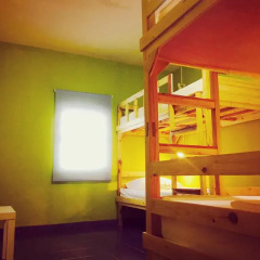 Отель Tree Hostel Bangkok Таиланд, Бангкок - отзывы, цены и фото номеров - забронировать отель Tree Hostel Bangkok онлайн детские мероприятия