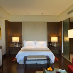 Отель The Oberoi Gurgaon 5* Номер Делюкс с различными типами кроватей фото 2