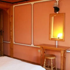 Отель Guest House Astra 3* Стандартный номер с различными типами кроватей фото 6